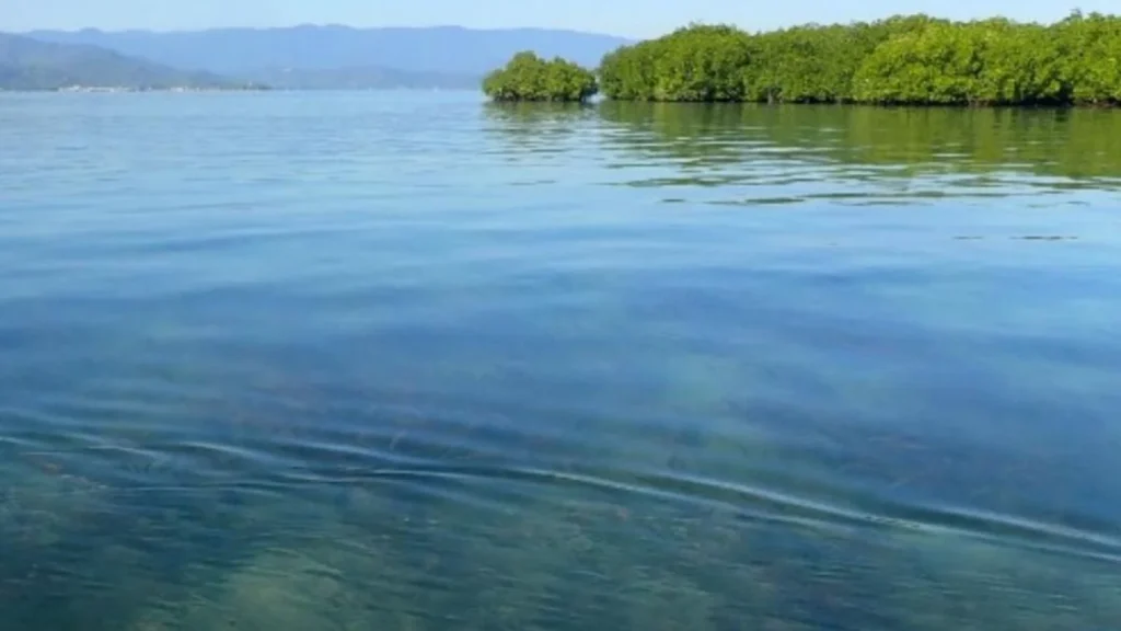 Bupati Sumbawa Menolak Penjualan Pulau Panjang: Isu Validitas Terus Dipertanyakan