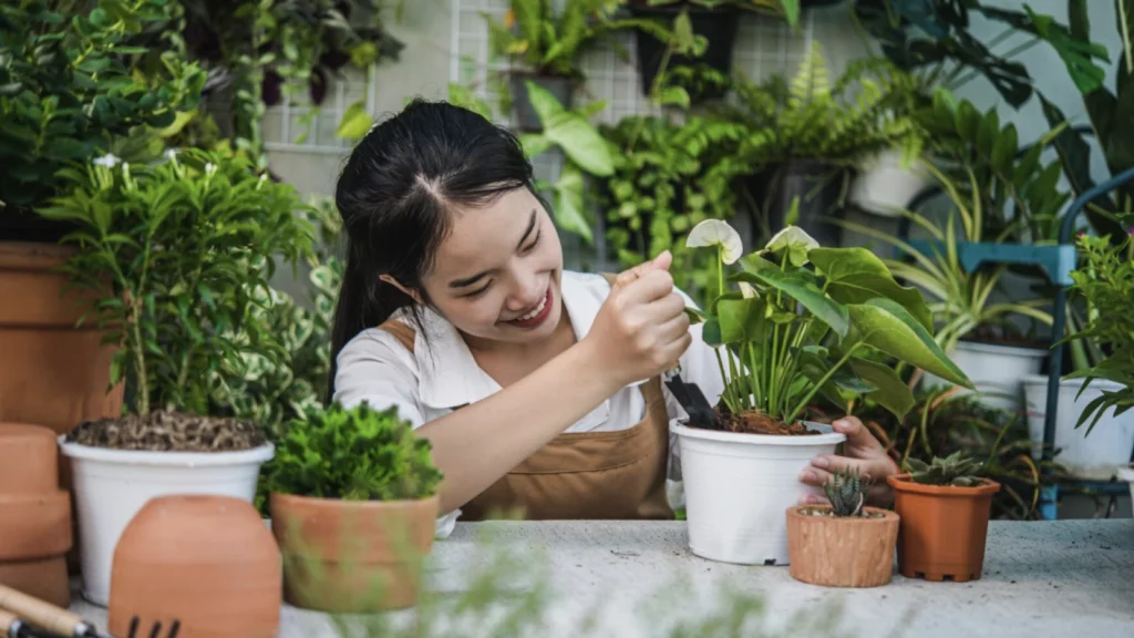 Popularitas Urban Gardening di Perkotaan Indonesia